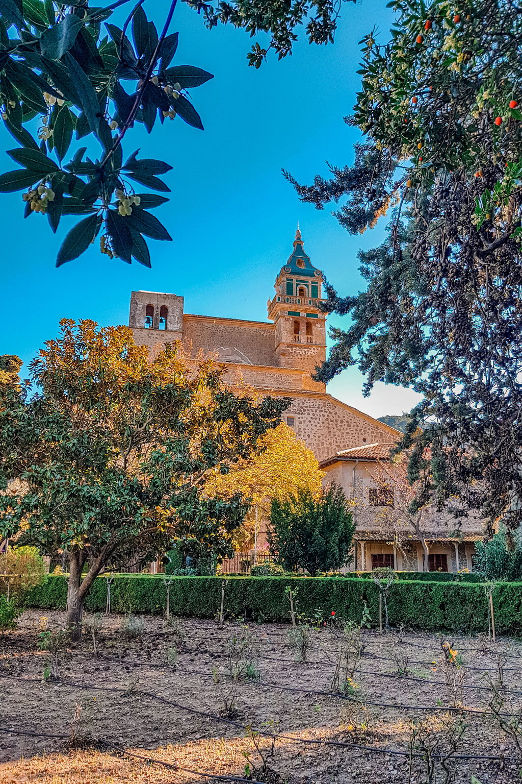 Carthusian Monastery Valldemossa Mallorca