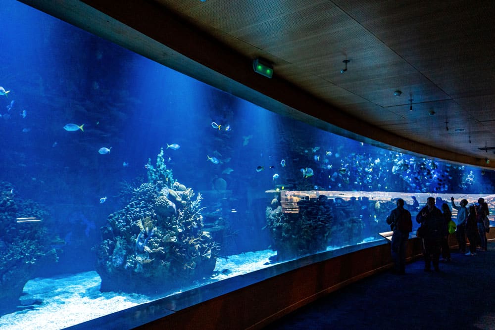 Aquarium at Oceanografic Valencia