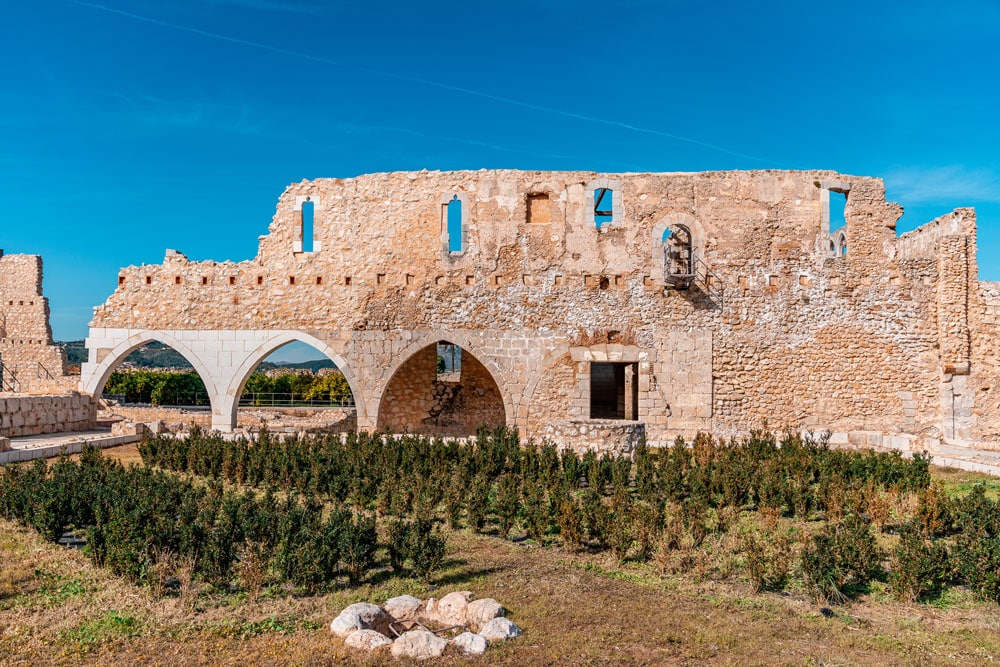 Monastery of Santa Maria de la Valldigna - Garden