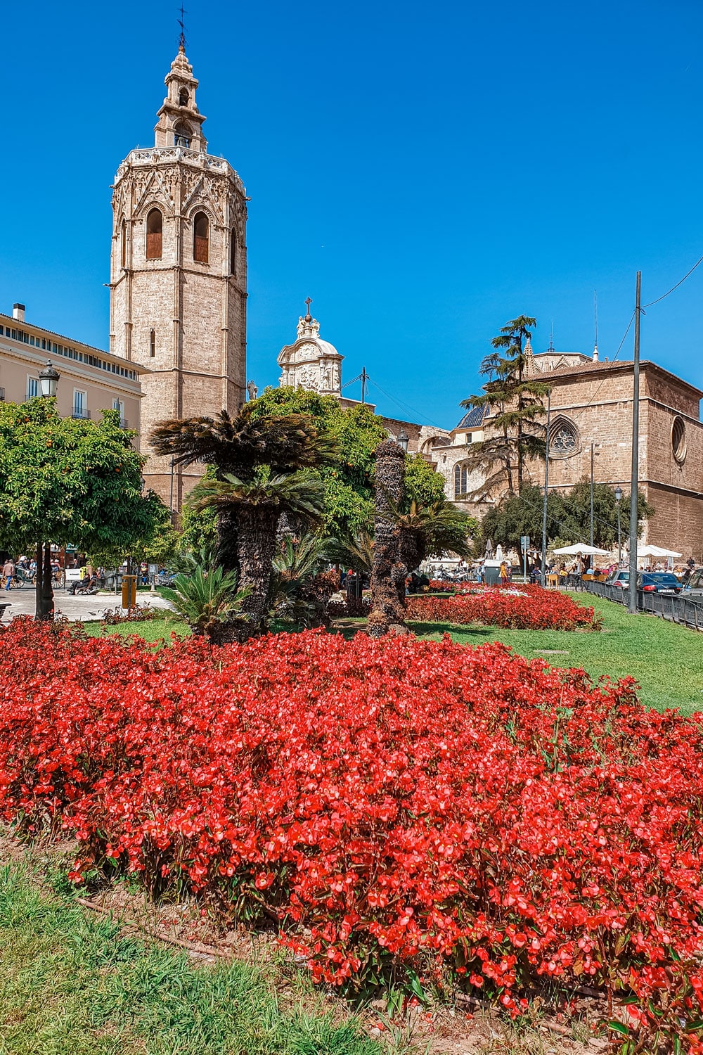 Plaza de la Reina Valencia