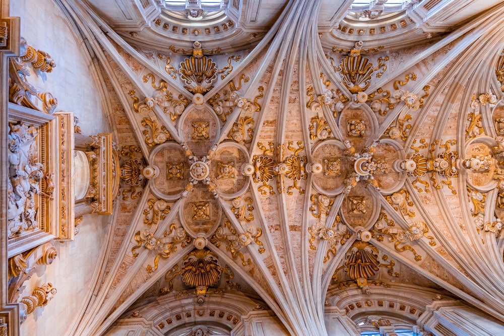 Ceiling of the Church of San Marcos