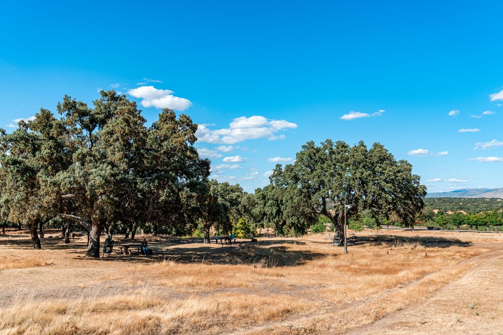 Riofrio forest