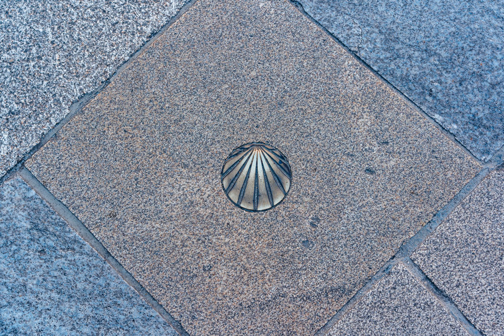 Scallop shell on the sidewalk