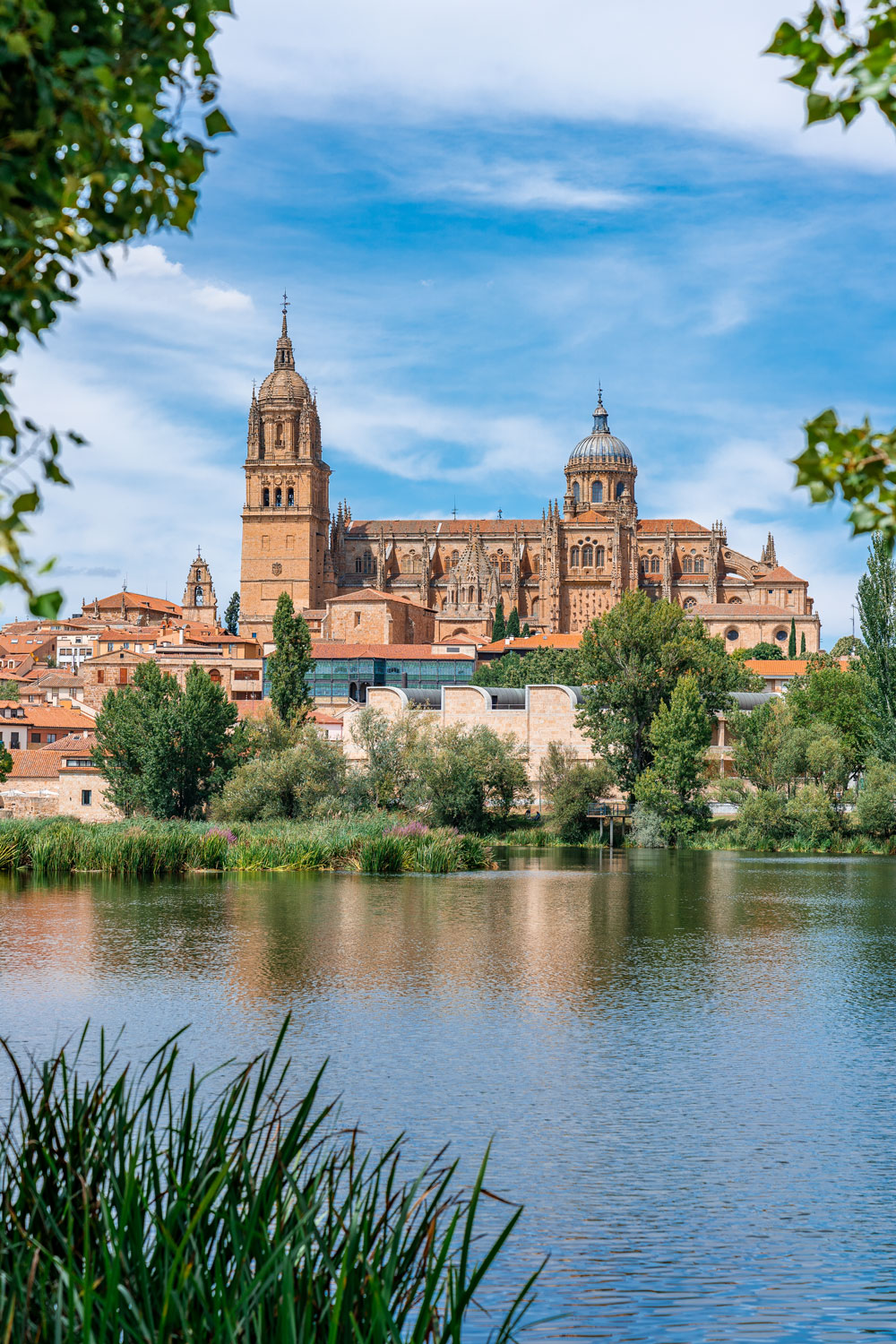 Viewpoint of Salamanca Cathedral