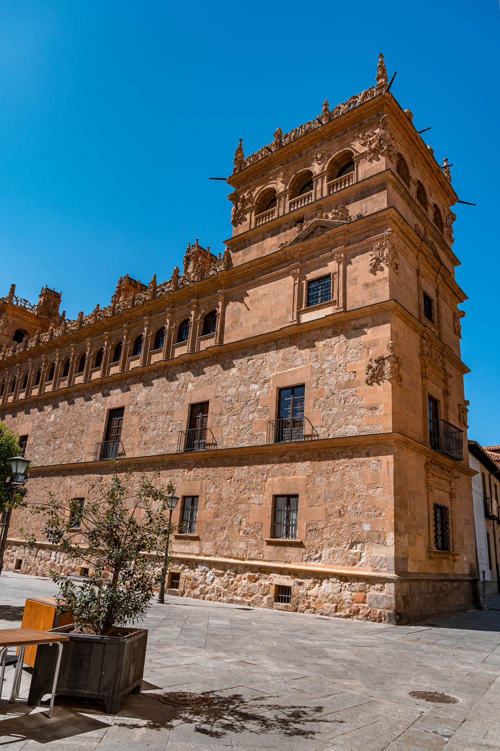 Historical Monterrey's Palace