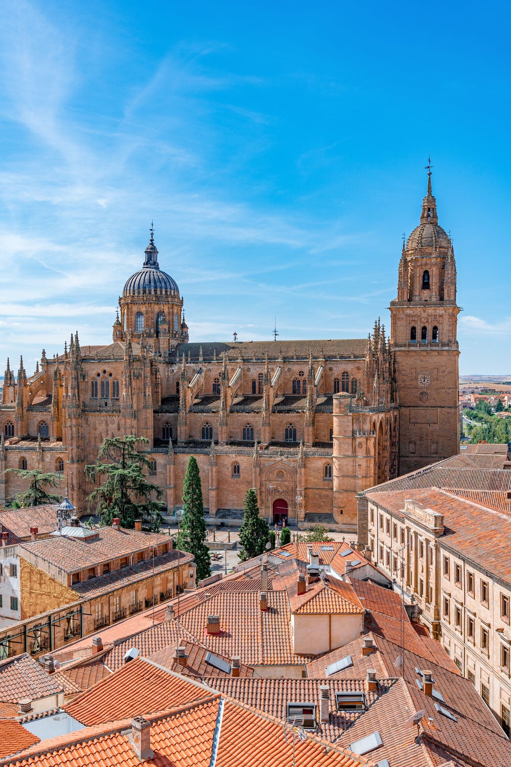 Salamanca Cathedral in Salamanca, Spain