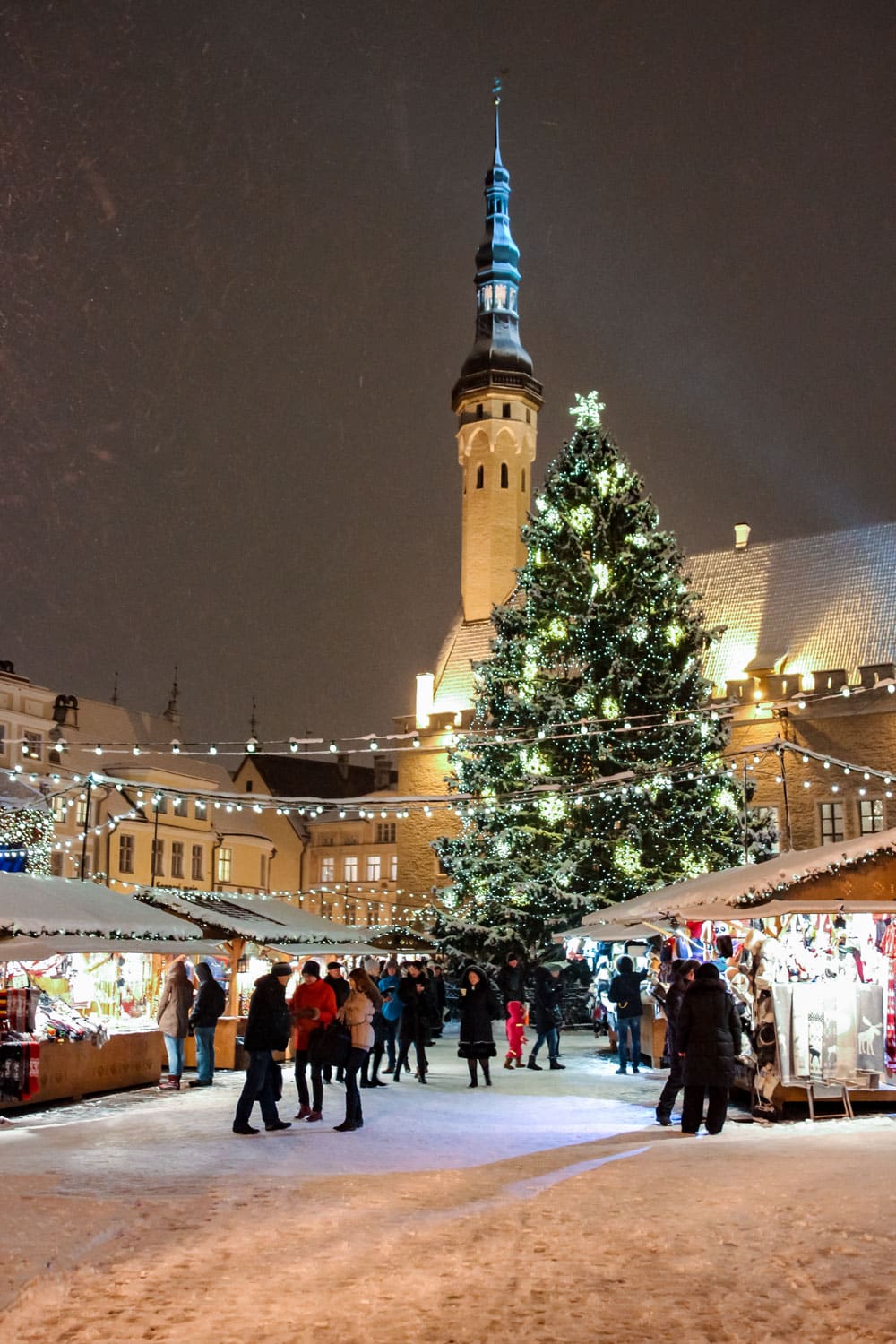 Snowy Tallinn Town Hall Square and Huge Christmas Tree