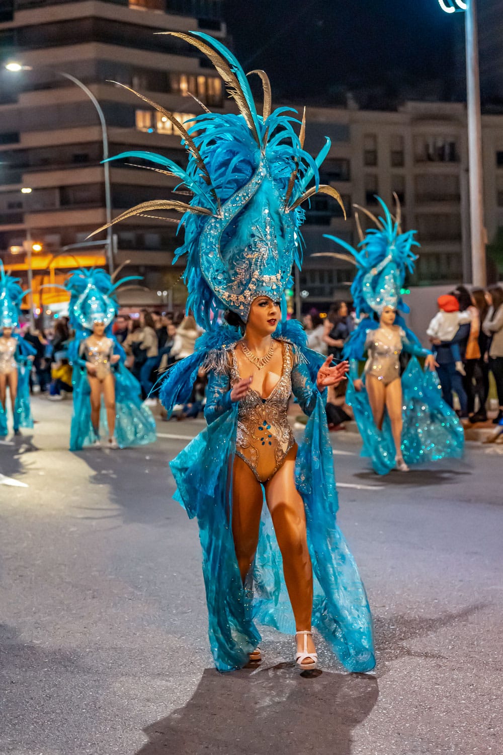 Carnival Feather Costume