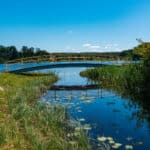 Small Countryside Bridge Over River