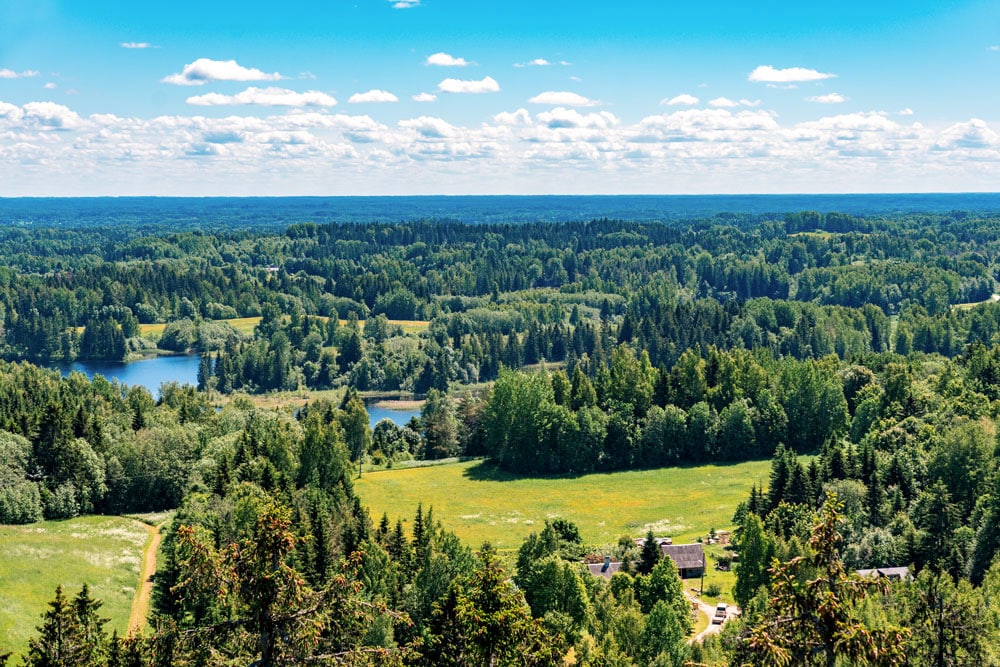 Estonia landscape, forest and lakes.