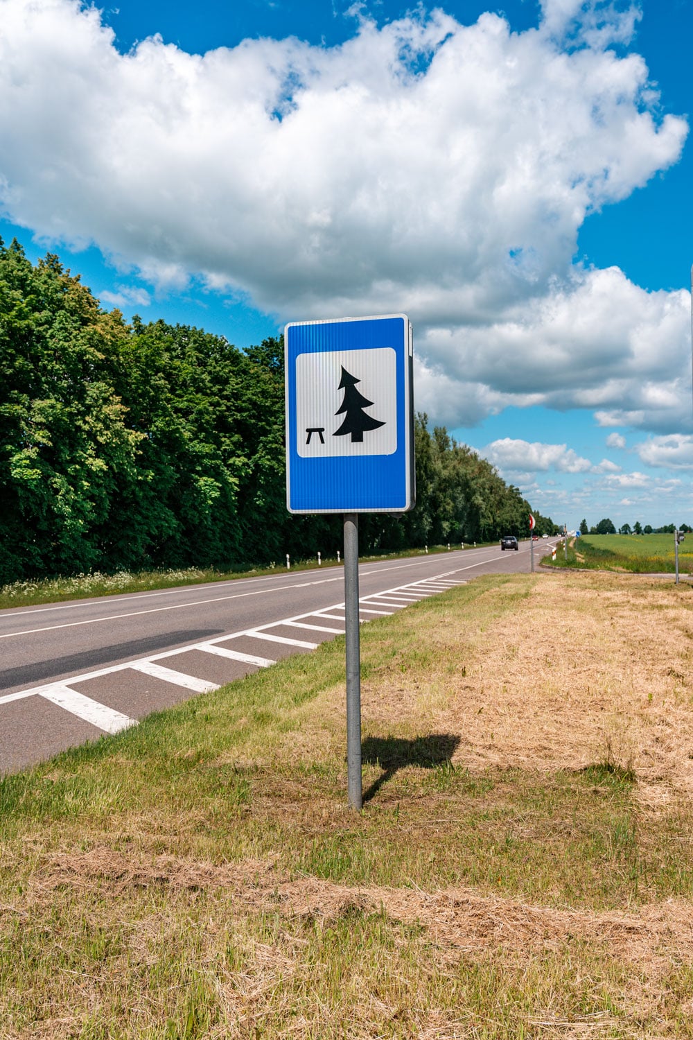 Rest stop sign near the road.