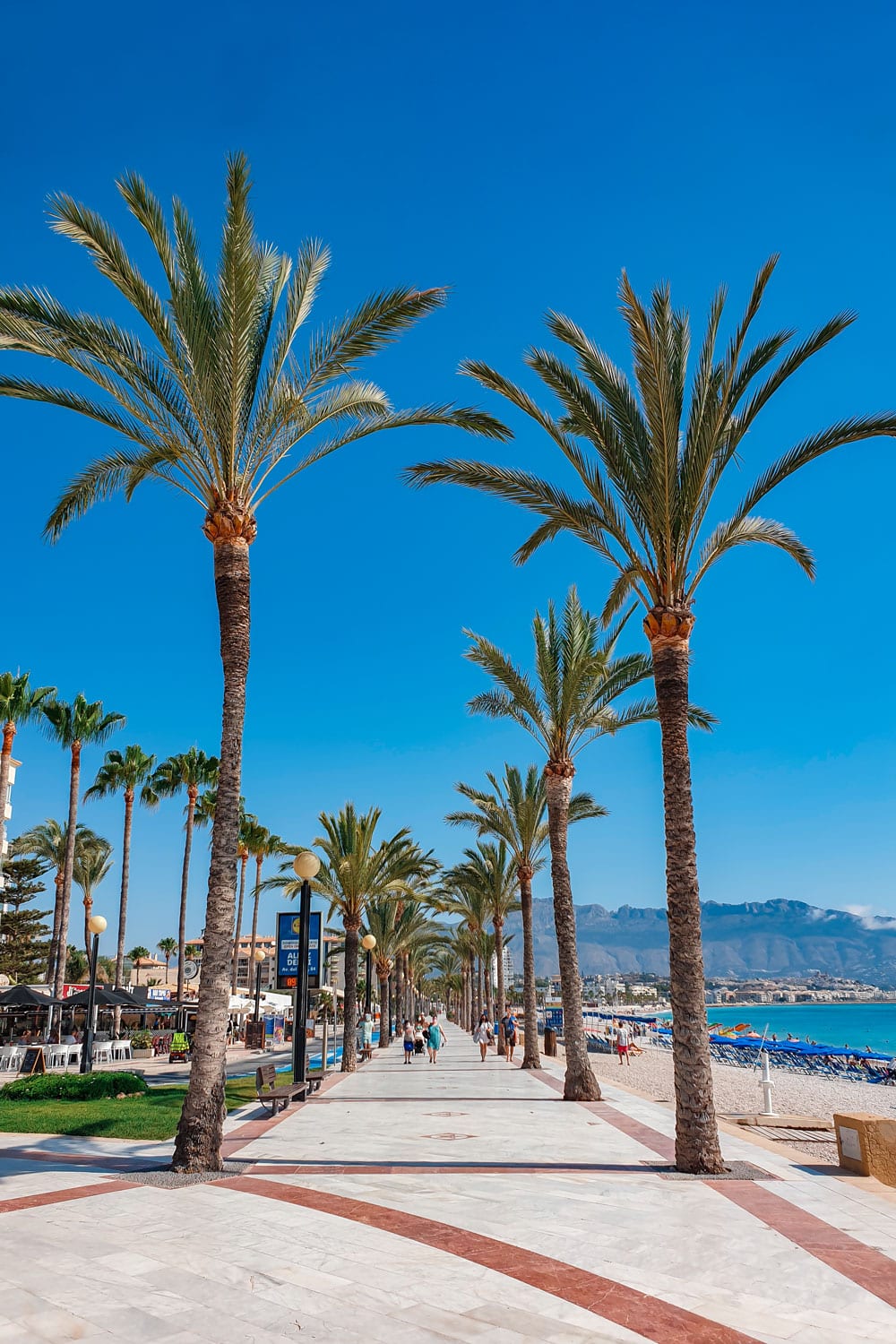 Albir seafront promenade with palm trees.