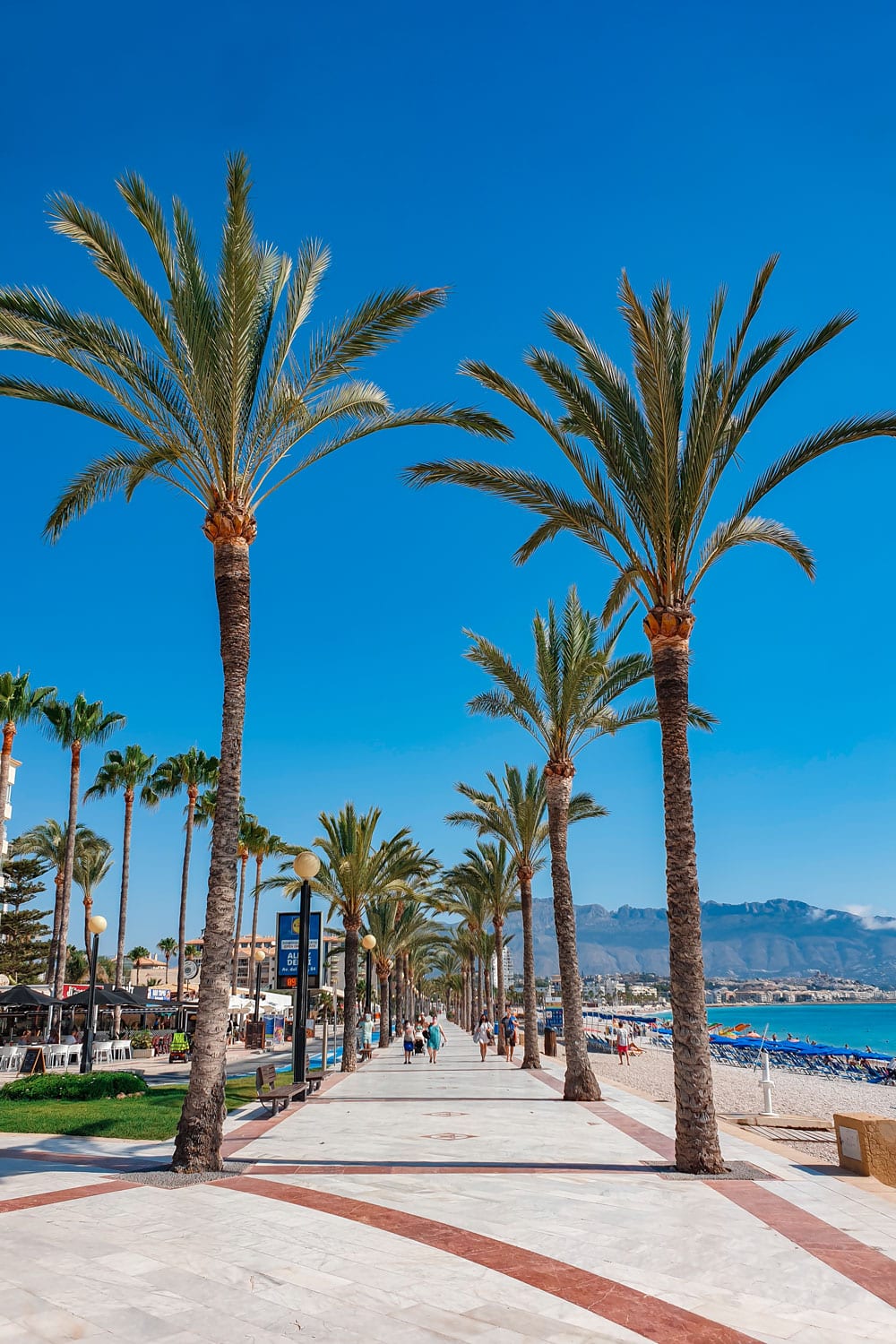 Albir seafront promenade with palm trees.