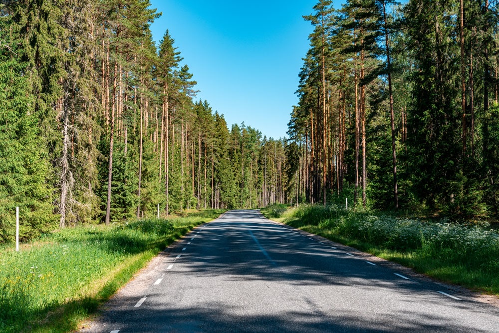 Empty road and forrest in both sides.