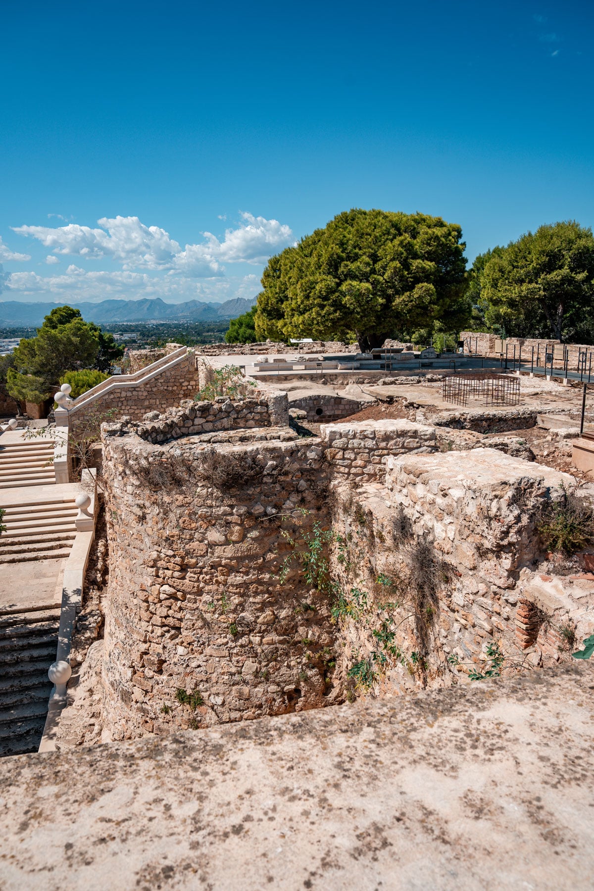 Denia castle walls with large green tree under a clear blue sky.