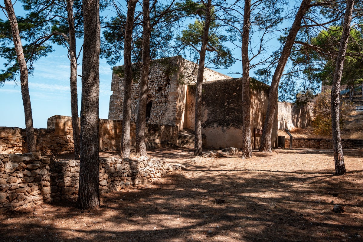 Ancient stone building surrounded by tall pine trees.