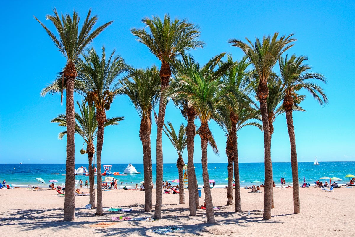 Palm trees at the Villajoyosa beach with turquoise water and sand.